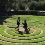 WhatsApp Image 2019-01-30 at 00.08.31